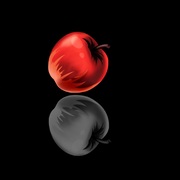 avatar de Tamiarappp